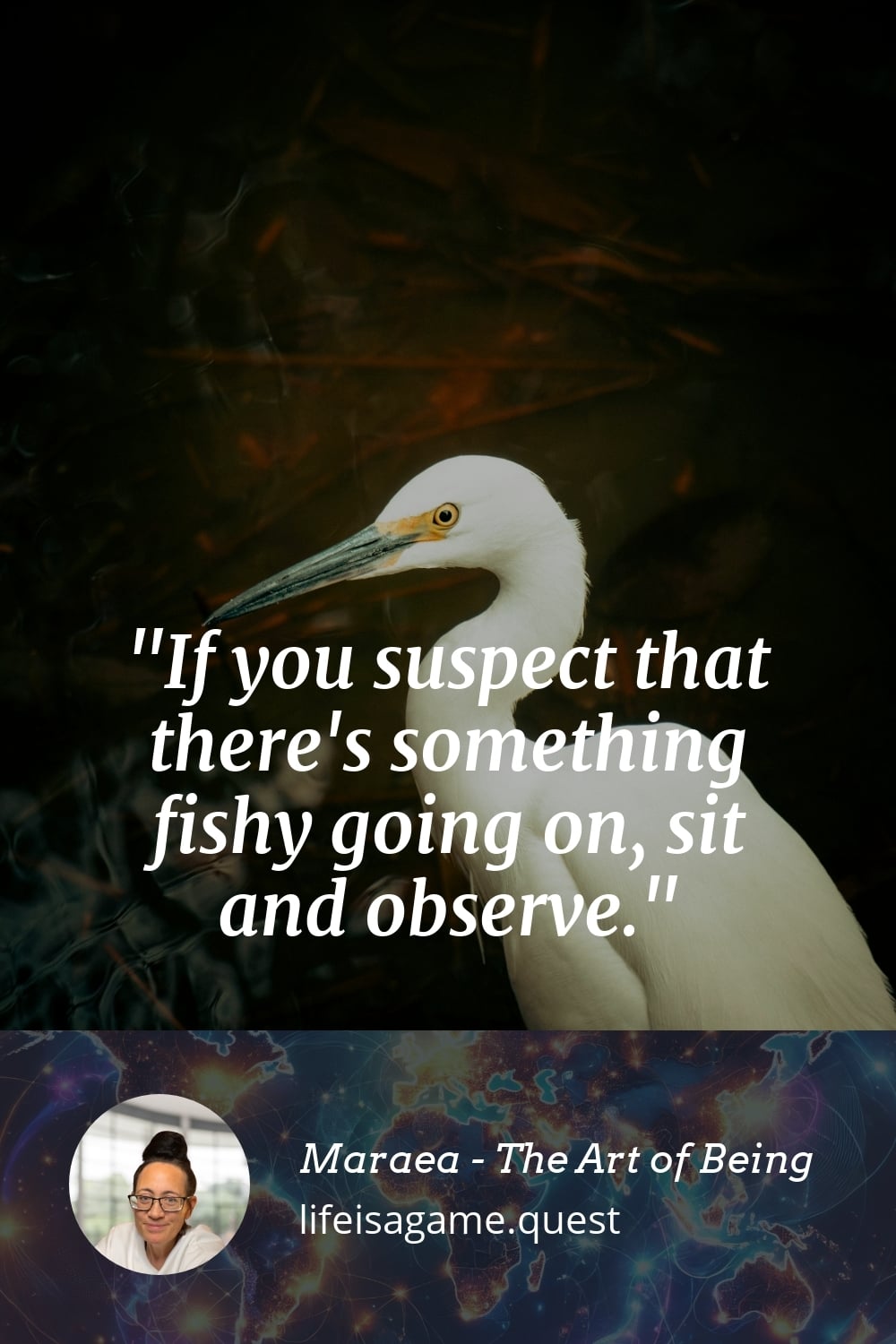 Pinterst Image If you suspect that there's something fishy going on, sit and observe.