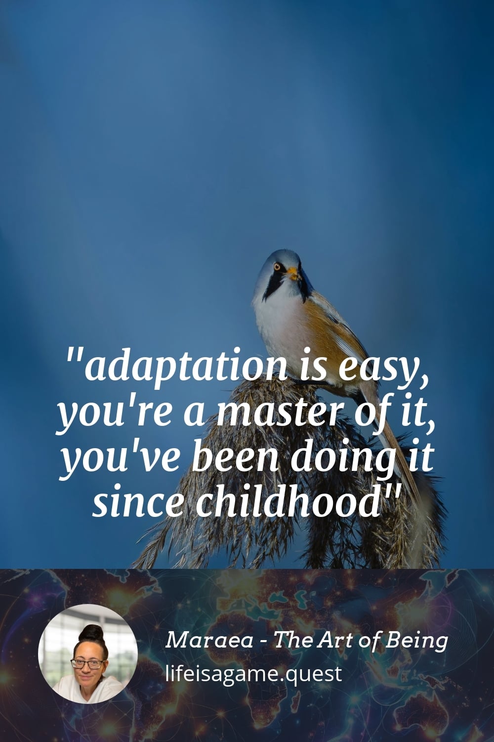 Pinterst Image adaptation is easy, you're a master of it, you've been doing it since childhood