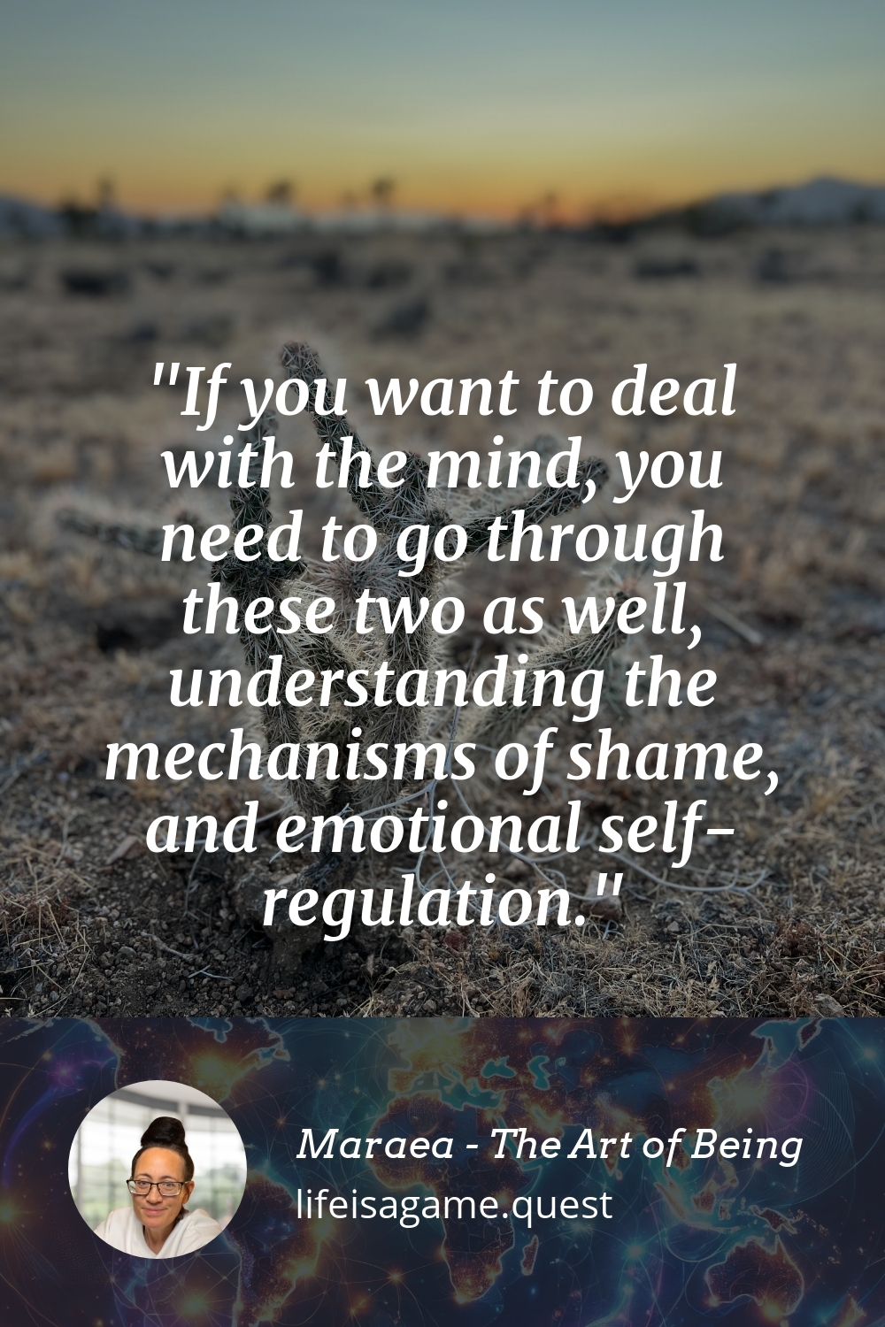 Pinterest Image If you want to deal with the mind, you need to go through these two as well, understanding the mechanisms of shame, and emotional self-regulation.